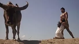 الأسود في سن المراهق ...