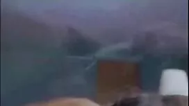 الروسية بيضاء كبيرة  ...