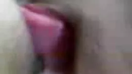 اثنين من الديك سوداء ...