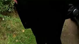 الوشم الآسيوية موقع  ...