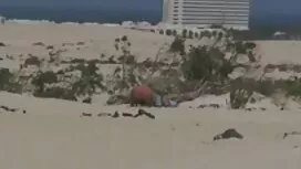 هذا مثير الشباب البن ...
